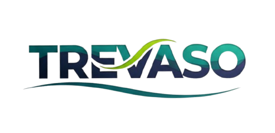 Tevaso Logo - Digital Marketing Agency in Hyderabad